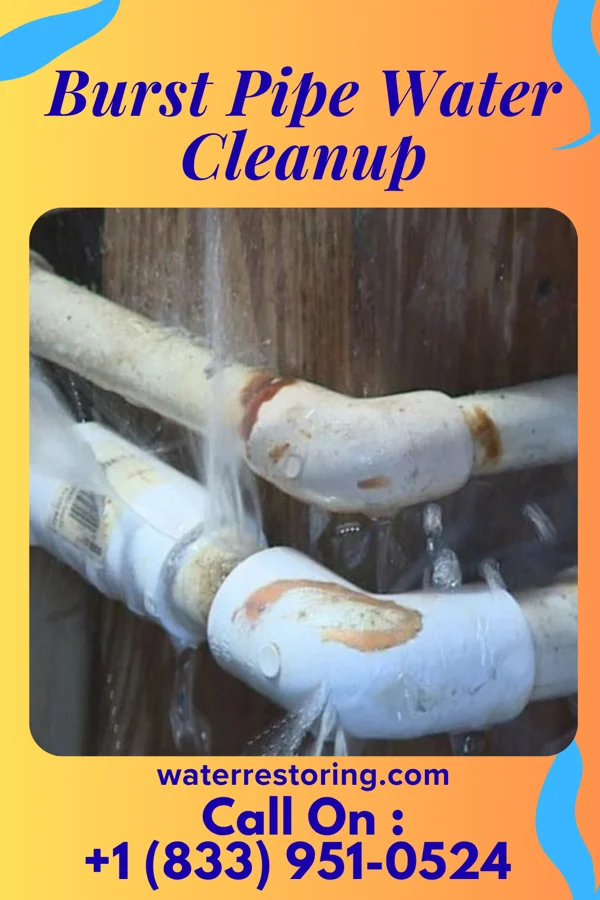 Burst Pipe Water Cleanup in Wellsboro, PA