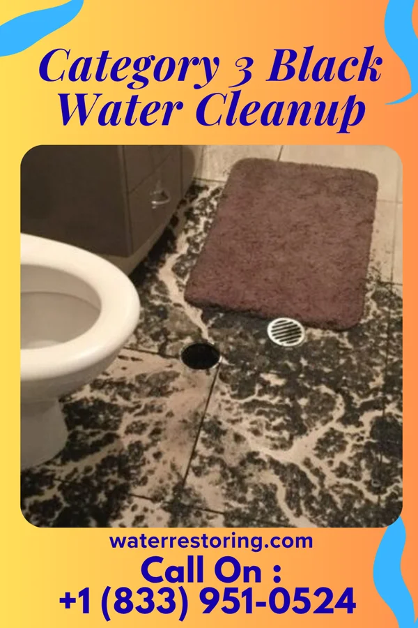 Category 3 Black Water Cleanup in Wellsboro, PA
