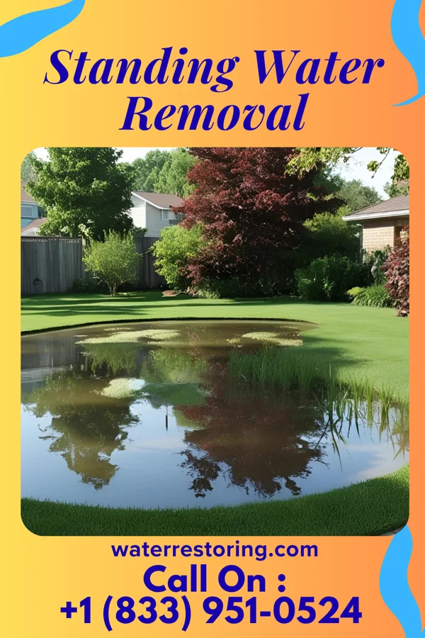 Standing Water Removal in Wellsboro, PA